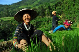 TOUR ĐONG TÂY BẮC 4 NGÀY/ 3 ĐÊM: HÀ NỘI -HÀ GIANG - XÍN MẦN – SIMACAI - BẮC HÀ - HÀ NỘI