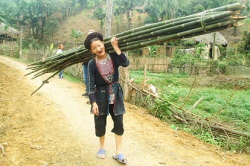 Voyage au Nord Vietnam du groupe de madame et mr Jean jacques Fongarland et Isabelle BIROT (Groupe de 6 personnes - France )