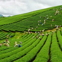 Voyage du Nord au Sud Vietnam du groupe de madame (Jacqueline Calmels - 5 personnes)