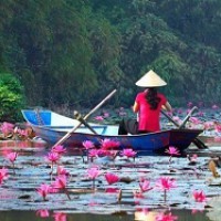 Avis de Voyage au Vietnam du Nord au Sud du groupe de Mr DAGOT GARNIER