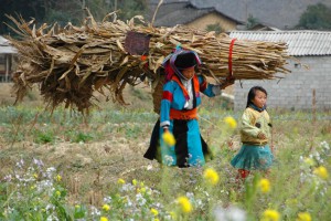 TOUR ĐÔNG BẮC 4 NGÀY/ 3 ĐÊM: Hà Giang - Quảng Bạ - Phố Cáo - Sủng Là - Lũng Cú - Mèo Vạc - Đền Hùng