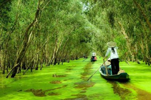 Tour Lục Tỉnh Miền Tây 4 ngày 3 đêm: Sài Gòn - Cái Bè - Vĩnh Long - Châu Đốc - Chùa Bà - Rừng Tràm Trà Sư - Cần Thơ - Cà Mau - Bạc Liêu - Sóc Trăng